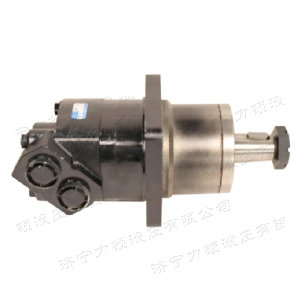 BM6車(chē)輪系列馬達(dá)